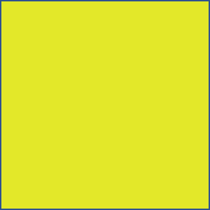 FL Yellow 00169
