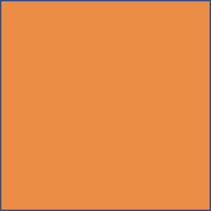Tangerine Orange 48745