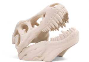 Dinosaur Skull v01