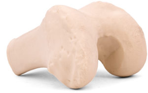 3D print bone models for preoperative planning and educational settings. Lower cost alternative to cadaver bone.